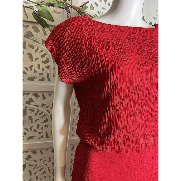Vintage Roberta California Women’s Red Plisse Formal Dress Size 10 - Picture 5 of 11